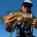 Robert J Phelan - @robphelan.fishing - Instagram
