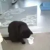 Rob Piper - @rob.piper86 - TikTok