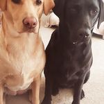 Rob Poole - @rob.poole.923 - Instagram