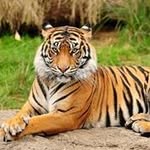 Rob Pope - @pope6736 - Instagram
