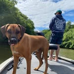 Rob Pope - @sopopeful - Instagram