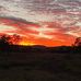 Rob Poulton - Facebook
