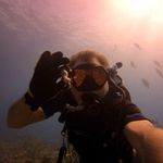 Rob Poulton - @rpoulton1 - Instagram