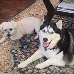 Rob Powers - @robpowers70 - Instagram