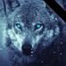 Robert Purser - Facebook