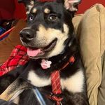 Rob Ramey - @therobramey - Instagram