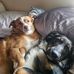 Rob Rich - Facebook