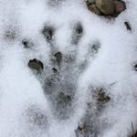 Rob Rich - @_robrich_ - Instagram