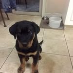 Rob Ritchie - @rob_ritchie_1 - Instagram