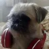 rob.rose_ - @rob.rose_ - TikTok