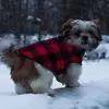 Rob Rosen - @rob.rosen - TikTok