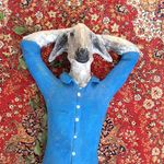 Rob Rosenbrand - @robrosenbrand - Instagram