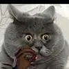 RobRonson - @robronson6 - TikTok