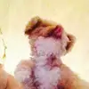 brooklyn_ruchotzke - @brooklyn_ruchotzke - TikTok
