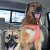 Robin Bridges Rudloff - Facebook