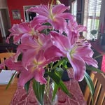 Robert Ruthenberg - @ruthenberg541 - Instagram