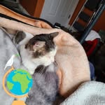 Rob Sachs - @sachs.rob - Instagram
