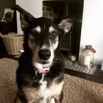 Rob Sampson - @sammaz - Instagram