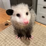 Rob Sampson - @ta2_d2 - Instagram