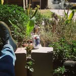 Rob Satterfield - @rob.satt - Instagram