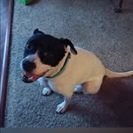 Robin Satterfield - @lisarobinsatterfield - Instagram