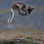 Rob Schenk - @schenk9647 - Instagram