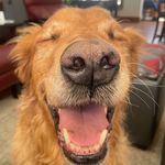 Rob Schenk - @robschenk72 - Instagram