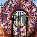 Rob Schultz - @robschultz - Instagram