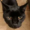 robschuster426 - @robschuster426 - TikTok