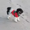 robertscully61 - @robertscully61 - TikTok