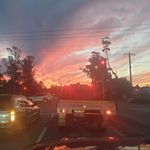 Rob Sheffield - @robbyyshef - Instagram