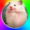 robshelby - @robshelby - TikTok