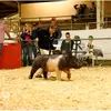 Robbie Shoemaker - @robbie_shoemaker2 - TikTok