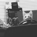 Robert Silverman - @rob.silver - Instagram