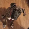 Robbie Sorenson - @robbiesorenson - TikTok