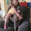 Rob Spano - @rob.spano2 - TikTok