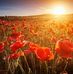Rob Speer - Facebook
