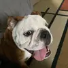 Rob Sprague - @edge.photography - TikTok