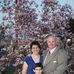 Rob Stacey - Facebook
