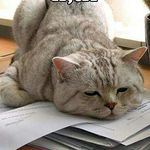 Rob Stack - @drinkies_with_rob - Instagram