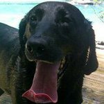 Rob Stack - @rob.stack.73 - Instagram