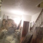 Rob Stack - @stackattack4 - Instagram