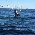 Rob Stafford - @rob.stafford - Instagram
