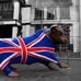 Rob Stanley - Facebook