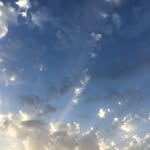 Rob Steiner - @robsteinerinc - Instagram