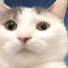 rob_stephens - @rob_stephens - TikTok