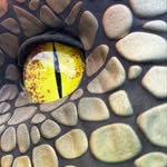 Robert Stillwell - @dino.2hire - Instagram