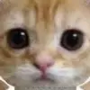 boo 🥰 - @robxstorey - TikTok