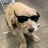 rob_storey - @rob_storey - TikTok