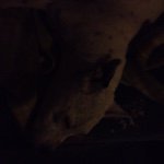 Rob Sutherland - @robdogsutherland - Instagram